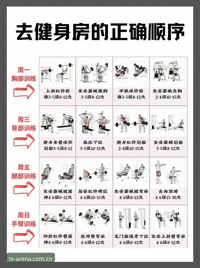 天行使用教程 天行体育平台使用教程:从入门到精通的操作指南