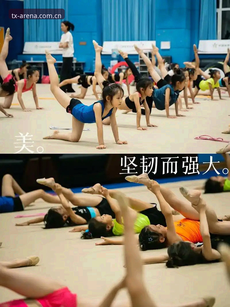 天行如何观看直播 天行体育平台直播指南:3个关键步骤助你快速解锁高清赛事体验